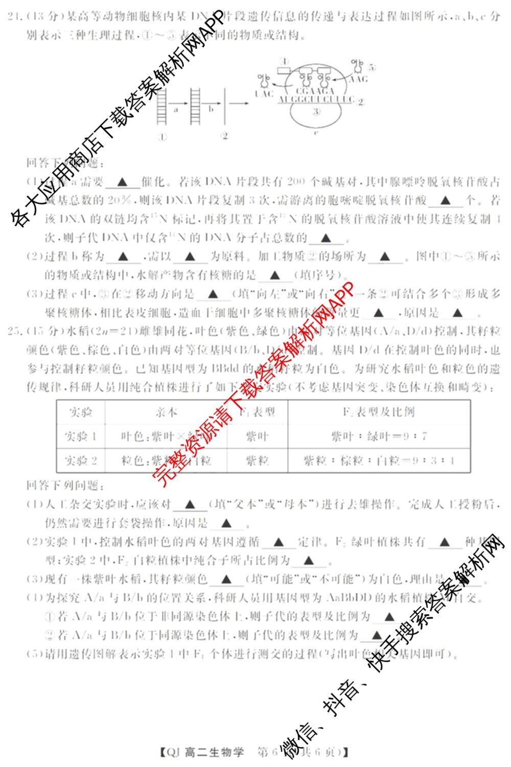 浙江强基联盟2026年高二9月题库(QJ)试卷及答案汇总（含物理、生物、历史等11份）生物试题