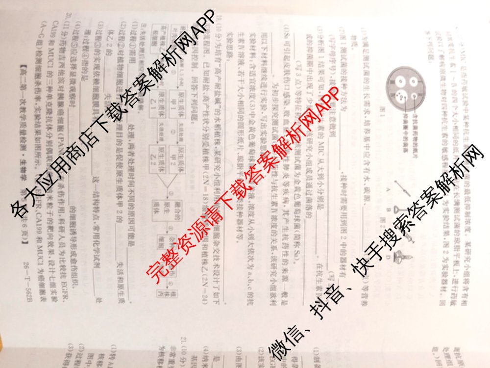 山西省2025-2026高二年级下学期第一次教学质量检测(26-T-562B): 含物理、历史、地理试卷解析生物试题