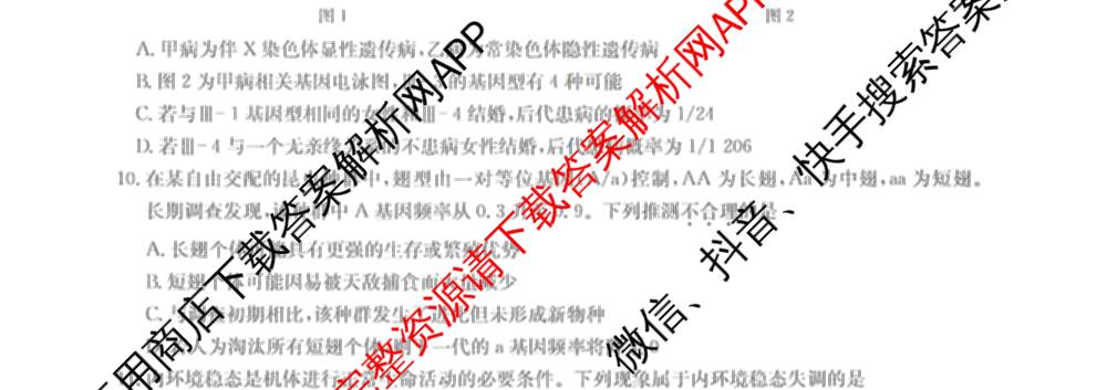 九师联盟2025-2026高三学业评估(4月)试卷及答案汇总（16科全）生物试题