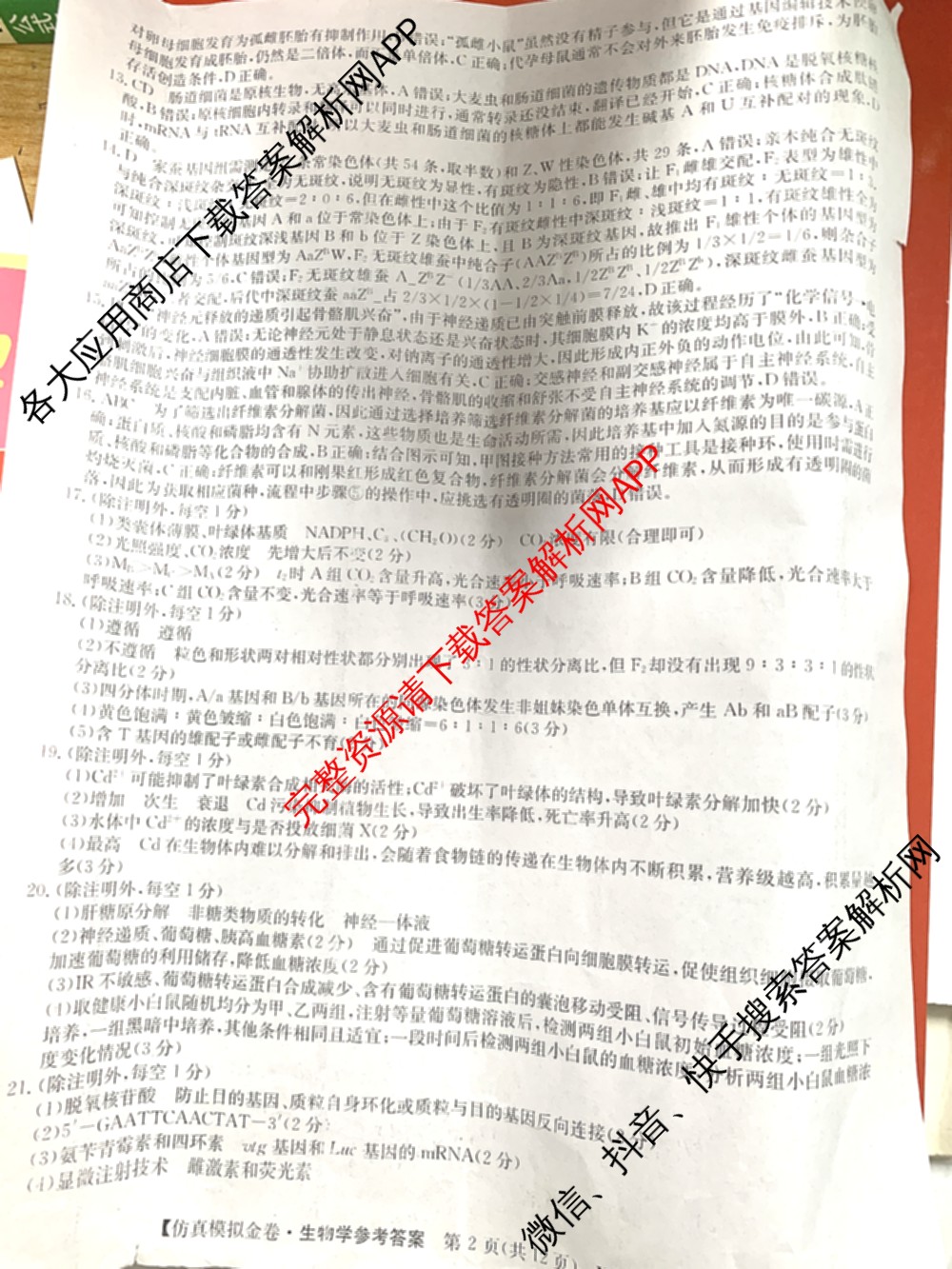 XKB-J-EX 2026届普通高等学校招生全国统一考试仿真模拟金卷(一)1（含物理(XKB-J2-EX)、语文(XKB-J1-EX)、化学(XKB-J1-B-EX)等10份）生物答案