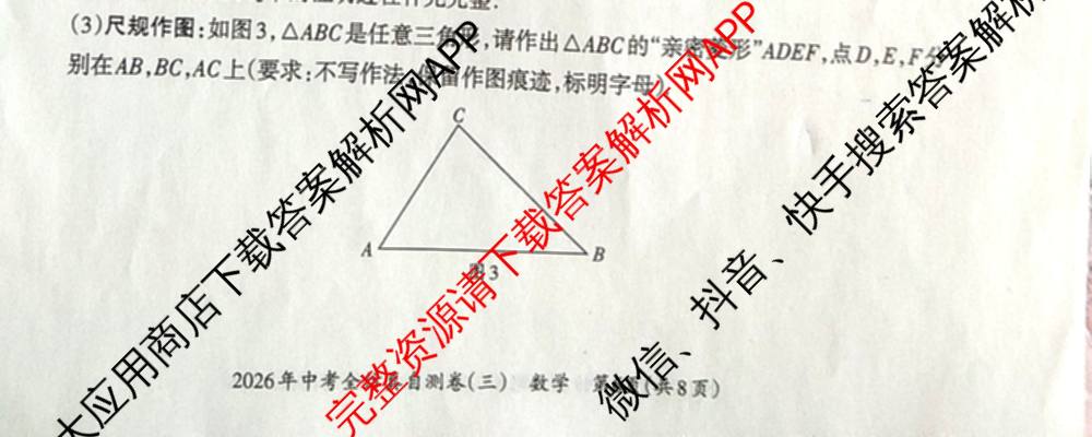 晋文源2026年中考全仿真自测卷(三)3各科答案及试卷(已更新历史 数学 物理等7份)数学试题