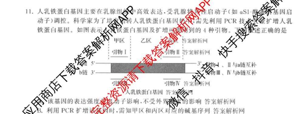 天舟高考衡中同卷2026年普通高等学校招生全国统一考试模拟信息卷(四)4(已更新化学(无字母) 政治(WY) 物理(山东版)等35份)生物试题