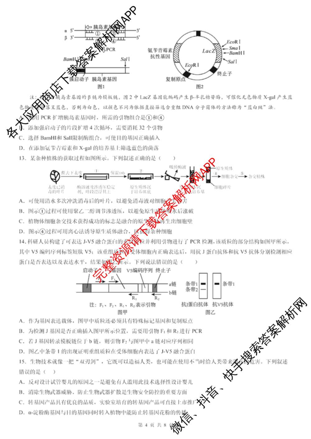 成都石室中学2025-2026学年度上期高2026届十月月考高三各科答案及试卷（含政治 生物 语文等）生物试题