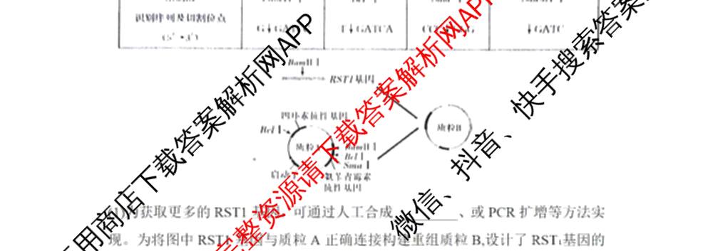湖南省2026届高三学情调研(二)各科答案及试卷（含化学 地理 生物等）生物试题