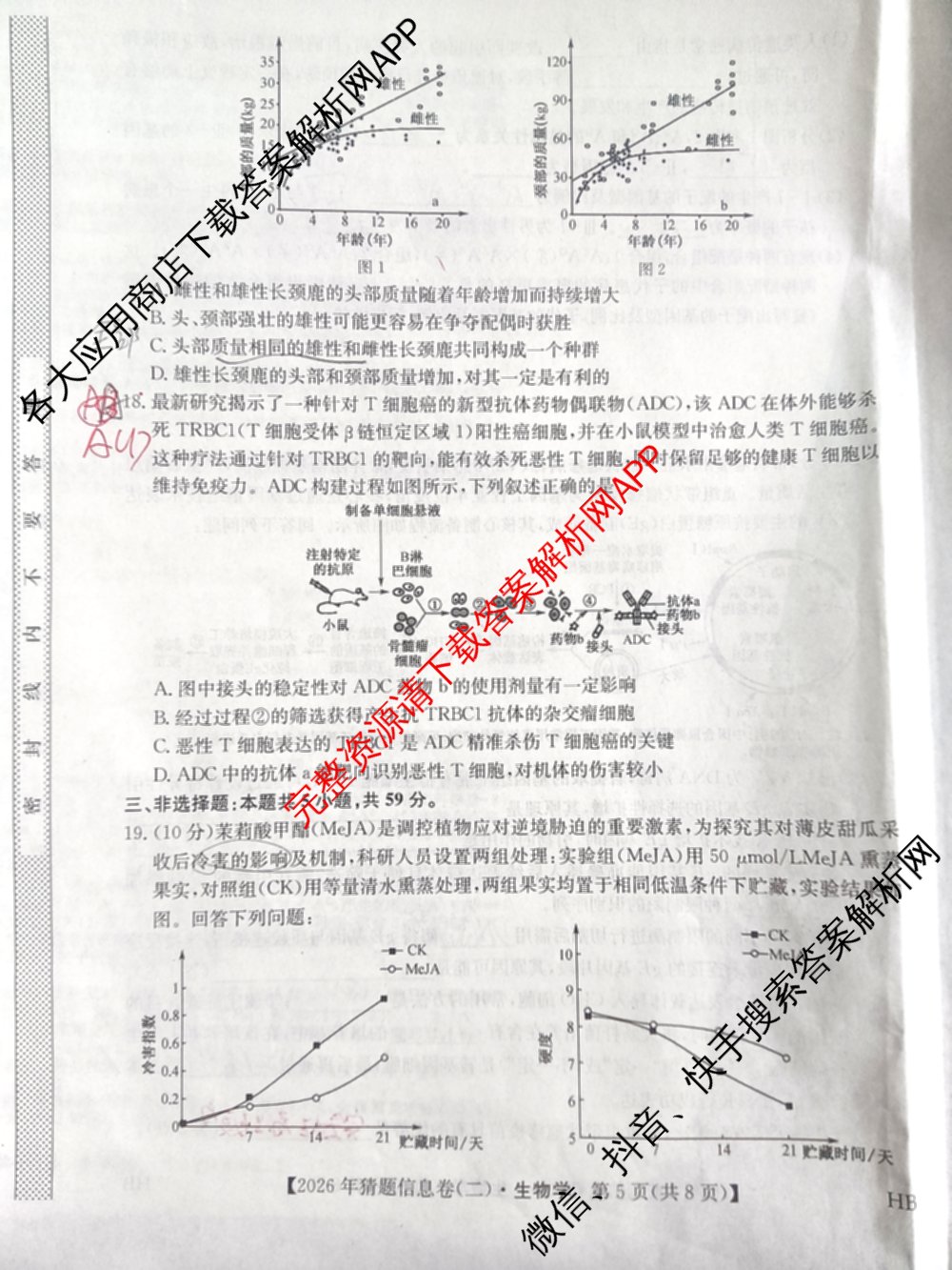 2026年普通高等学校招生全国统一考试猜题信息卷(二)2（含政治(B2)、化学(B2)、物理(B3)等）生物试题
