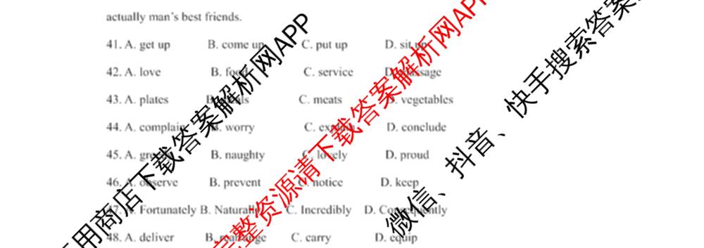 重庆西南大学附属中学高2028届高二上学期开学定时训练各科答案及试卷(已更新地理、英语、政治等9份)英语试题