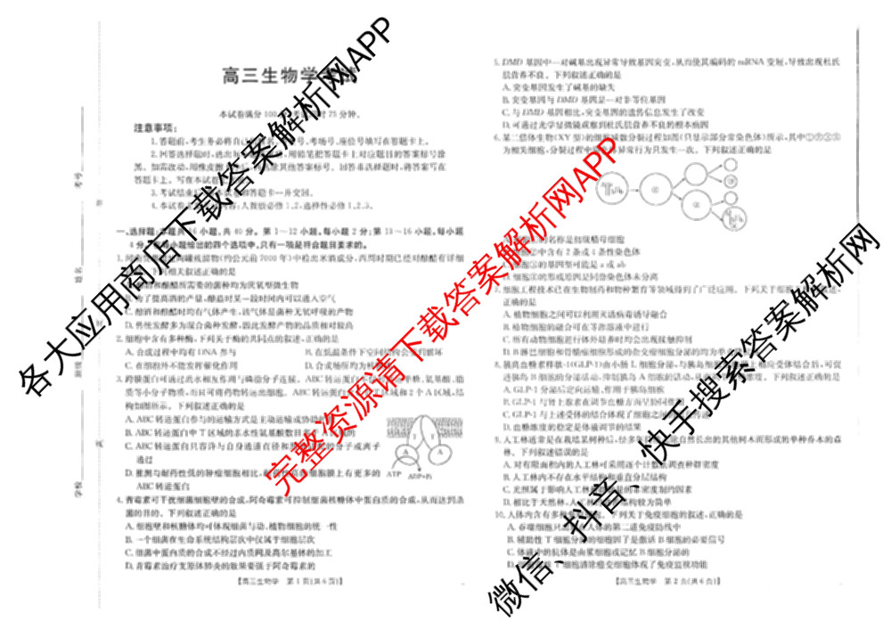 广西2026届高三开学考试(8.6)各科答案及试卷(已更新物理 语文 地理等9份)生物试题