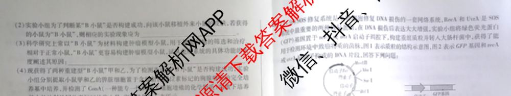 天一大联考2024-2025学年高中毕业班阶段性测试(一)试卷及答案汇总（含历史、物理、生物等）生物试题