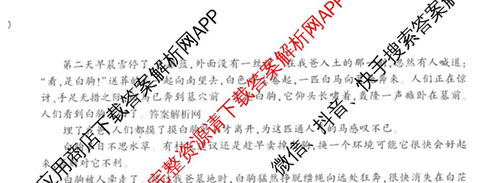 百师联盟2026届高三命题趋势预测(一)各科答案及试卷（含历史(百G)、物理(百F)、语文等）语文试题