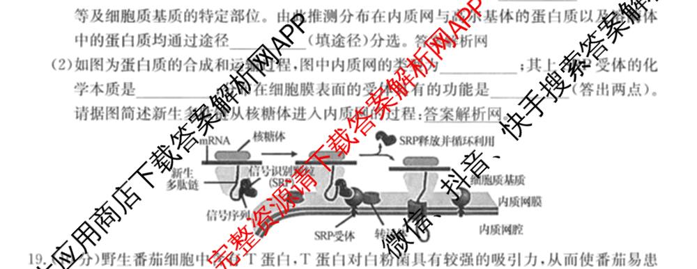 全国名校2026届高三月考滚动卷(二)2试卷及答案汇总（含物理(A) 化学(A) 数学等）生物试题