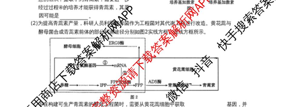 云南省2026届高三考试(2.27)试卷及答案汇总(已更新数学 政治 语文等9份)生物试题