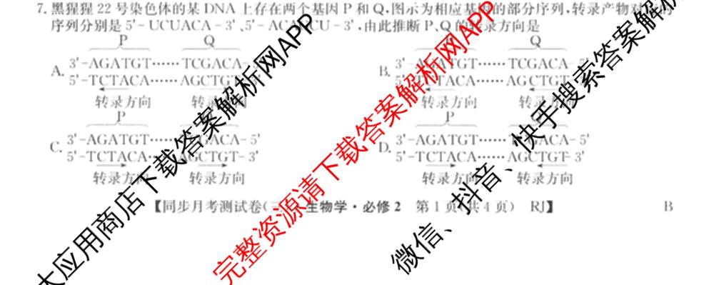 2025-2026学年度高一高中同步月考测试卷(下学期)(三)试卷及答案汇总（含生物(必修2 RJ B) 数学(必修第二册 RJ) 英语等9份）生物试题