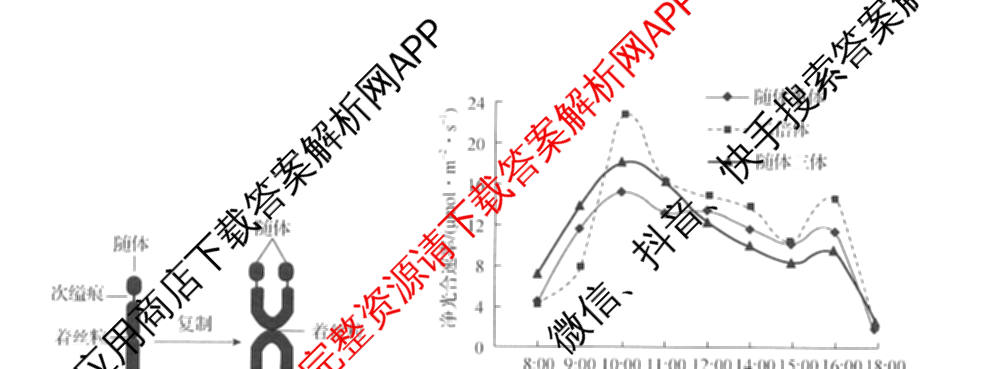 天舟高考衡中同卷2026年普通高等学校招生全国统一考试模拟信息卷(一)1各科答案及试卷（含化学(山东版) 历史(HJ) 生物(DS)等）生物试题