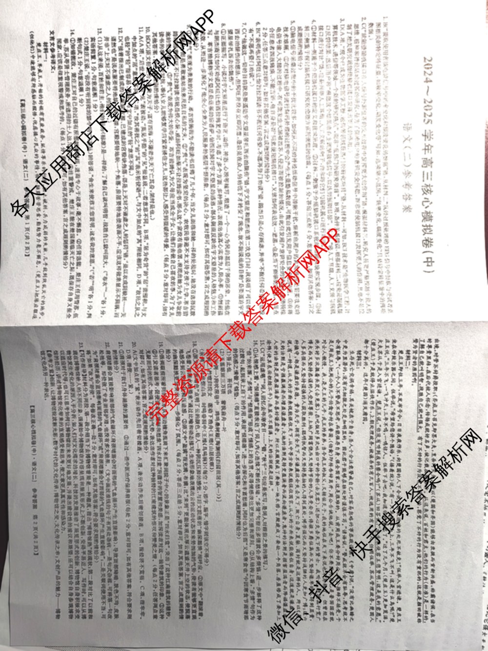 九师联盟2024~2025学年高三核心模拟卷(中)(二)2（含历史 地理(D4) 数学等29份）语文答案