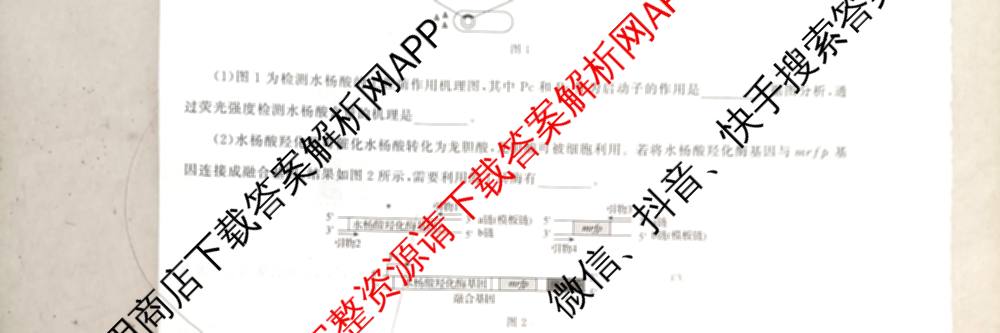 天舟高考衡中同卷2025届全国高三联合性检测(4月)（含物理(L专版)、生物(AH专版)、物理(J专版)等）生物试题