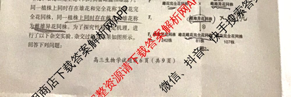 郴州市2025届高三第一次教学质量监测试卷各科答案及试卷（含数学、生物、地理等9份）生物试题