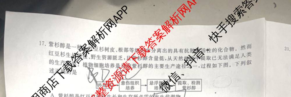 2025届高三部分重点中学3月联合测评(T8联考)(第二次八省联考)(已更新化学(HBZB)、历史(SXZB)、语文等25份)生物试题