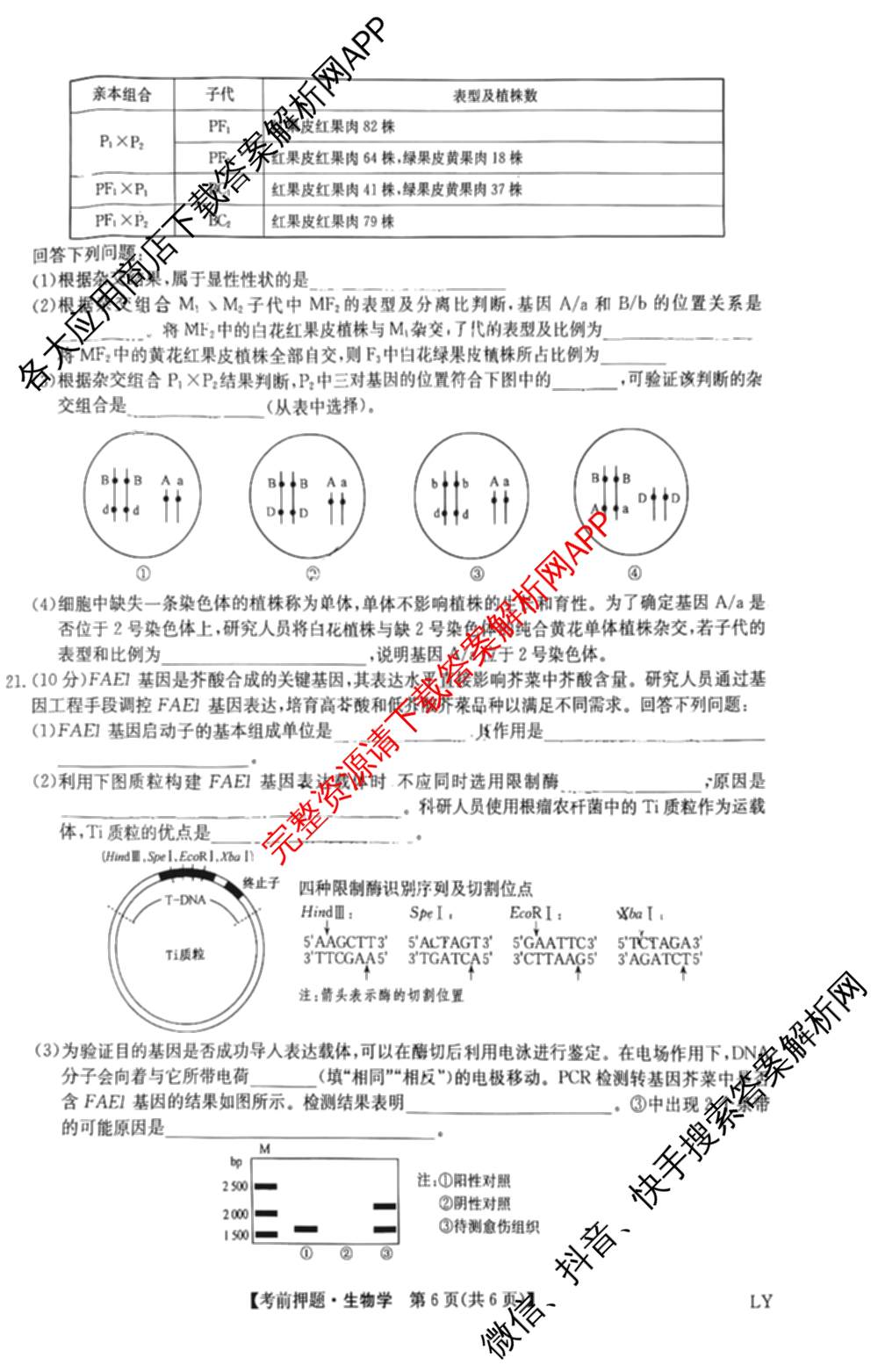 九师联盟2025届高三5月考前冲刺(一)（含地理(N)、政治、英语(无字母)等45份）生物试题