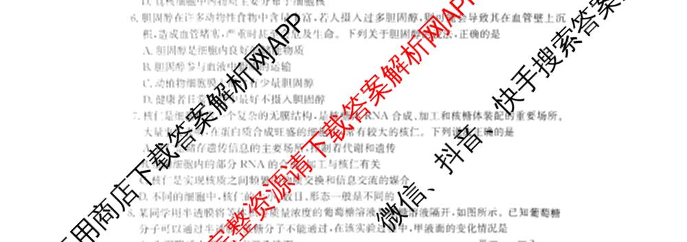 河北邢台市卓越联盟2025-2026学年高一测评(同心倒三角)（含化学 数学 地理等）生物试题