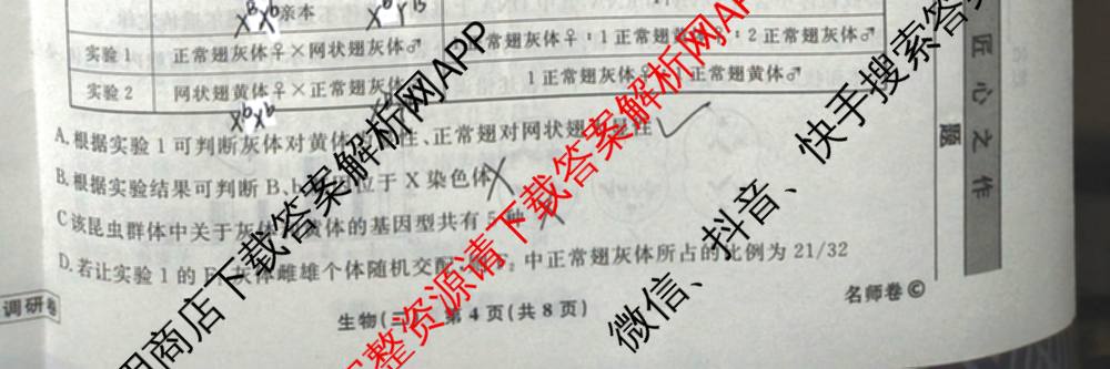 衡水名师卷高考模拟调研卷 2026年普通高等学校招生全国统一考试模拟试题(二)2（含政治 英语(YH) 英语(空心菱形)等）生物试题