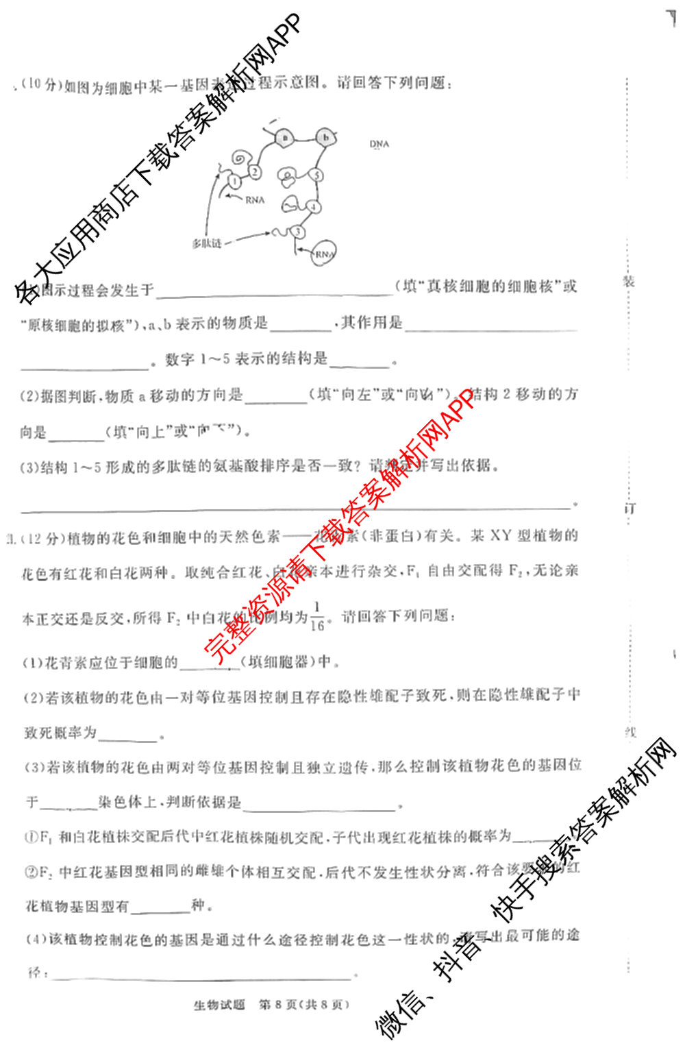 2026届普通高等学校招生全国统一考试青桐鸣大联考(高二)试卷及答案汇总（12科全）生物试题