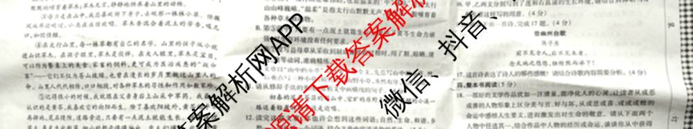 SC2025年春季七年级第三次学科素养调研卷: 含语文(人教版)、化学、道德与法治试卷解析语文试题