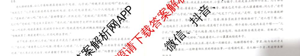 厚德诚品2025普通高等学校招生统一考试压轴卷(一)1各科答案及试卷（含历史(HN) 地理(HN) 语文(HN)等9份）语文试题