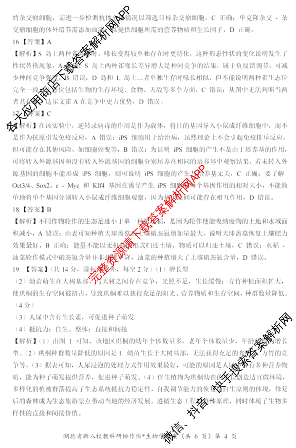 湖北省新八校协作体2025届高三5月联考(5.3)各科答案及试卷: 含历史 物理 英语试卷解析生物答案