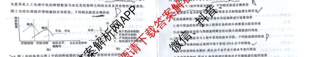 百师联盟2026届高三年级12月阶段检测（含历史 地理 生物等9份）生物试题