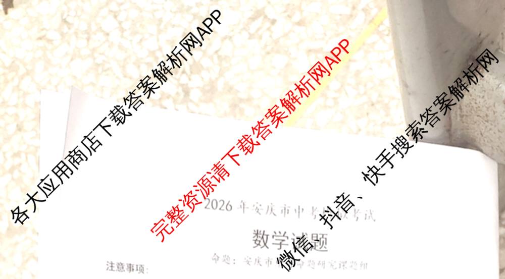 安徽省2026年安庆市中考模拟考试(4月)各科答案及试卷（7科全）数学试题