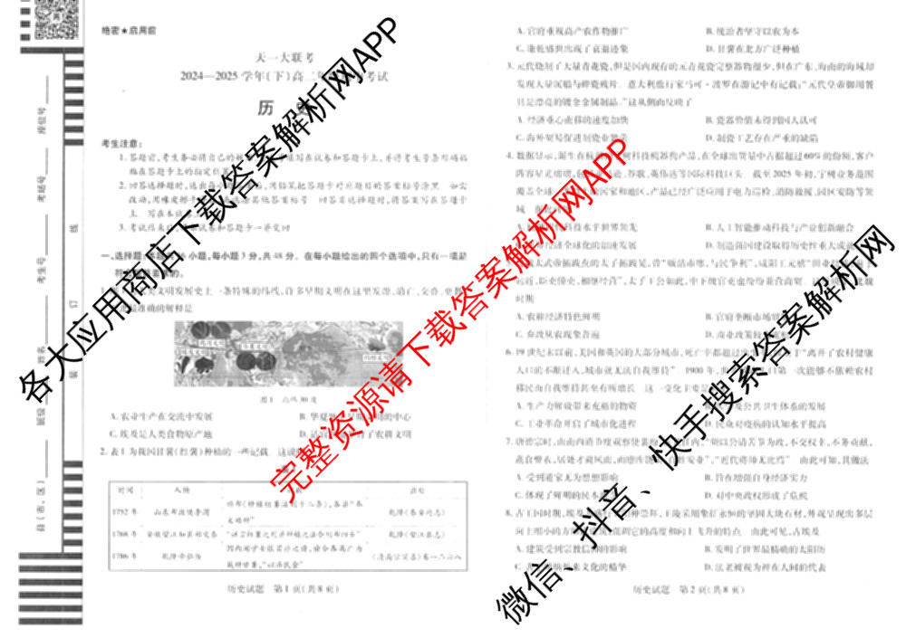 天一大联考2024-2025学年(下)高二年级期中考试: 含生物(B卷)、政治(A)、历史试卷解析历史试题