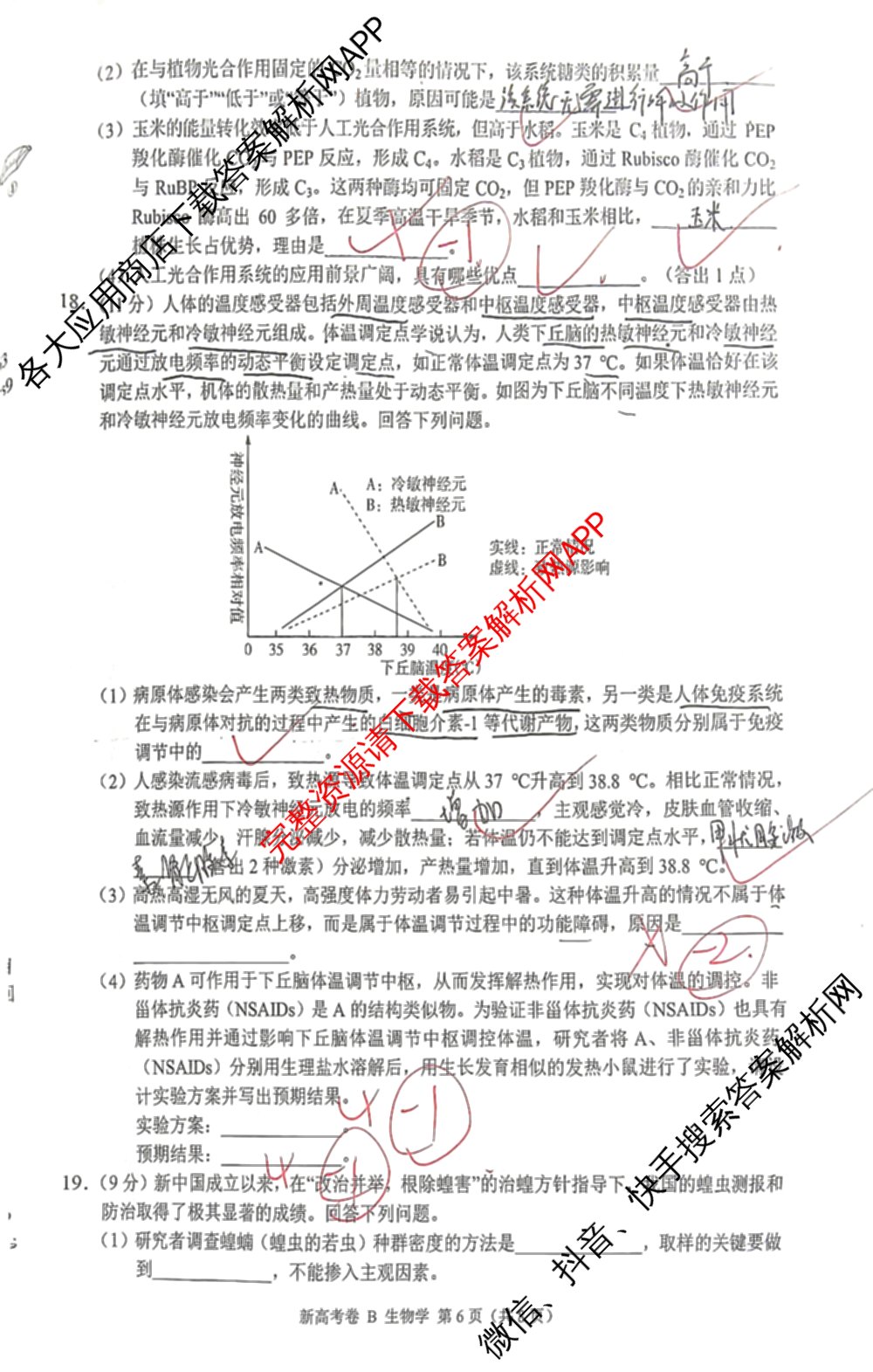 学科网2025届高三4月大联考试卷及答案汇总（含物理(新高考卷C) 文综(新课标卷) 英语(新课标卷A)等）生物试题