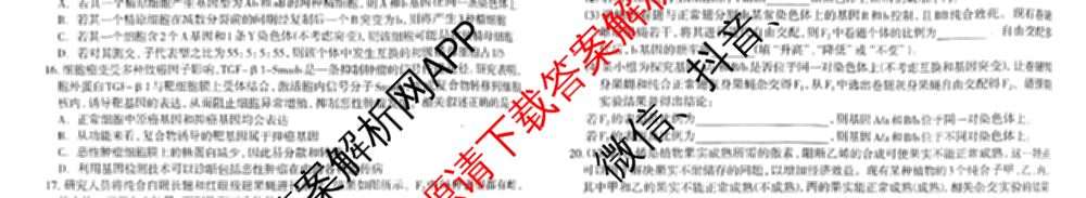 石家庄市2023~2024学年度高一第二学期期末教学质量检测（含历史 物理 生物等9份）生物试题