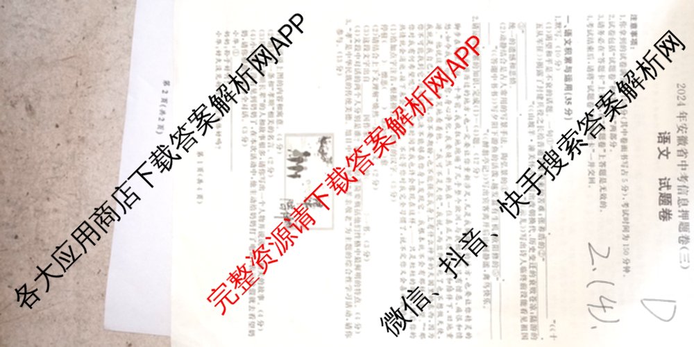 2024年安徽省中考信息押题卷(三)各科答案及试卷（含历史 数学 语文等7份）语文试题
