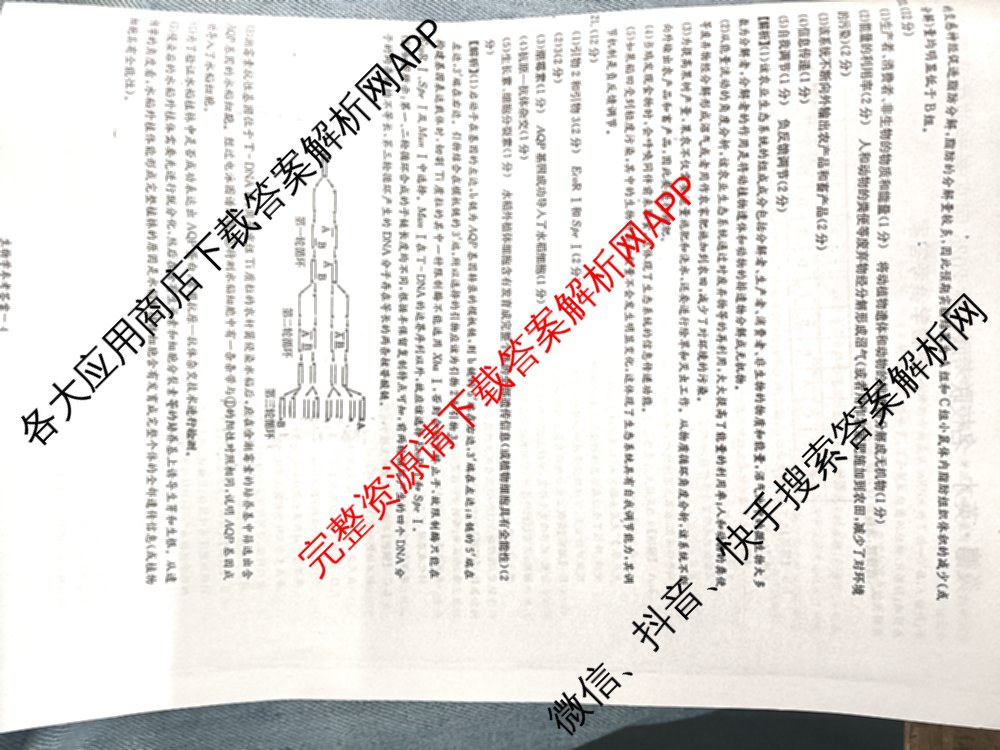 炎德英才名校联考联合体2025届高考考前仿真联考三（含数学 历史 地理等）生物答案