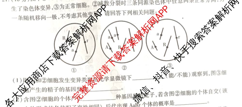 山西省运城市2024-2025学年第二学期期末调研测试(2025.7)高一: 含化学 历史 地理试卷解析生物试题