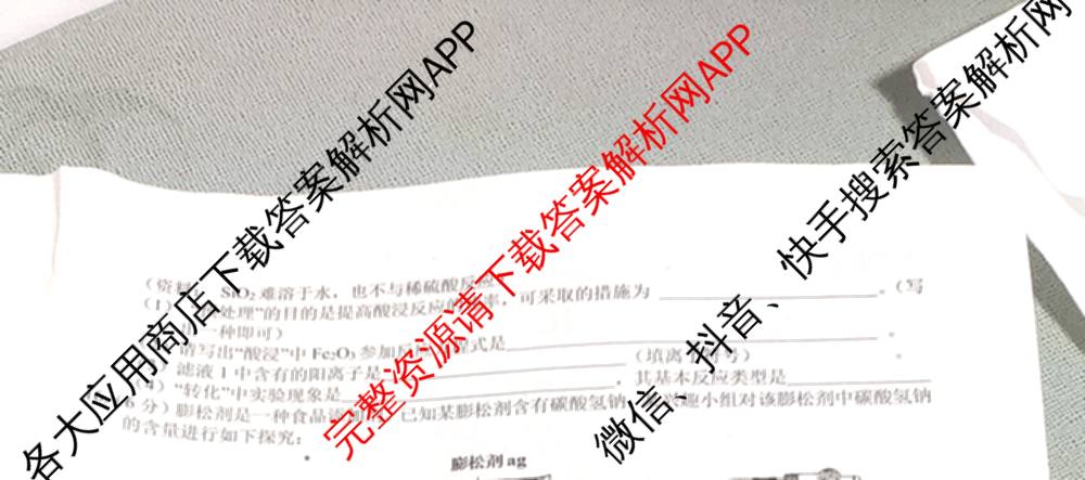 安徽省C20教育联盟2025年九年级中考功夫卷(四)(已更新语文 英语 数学等7份)化学试题