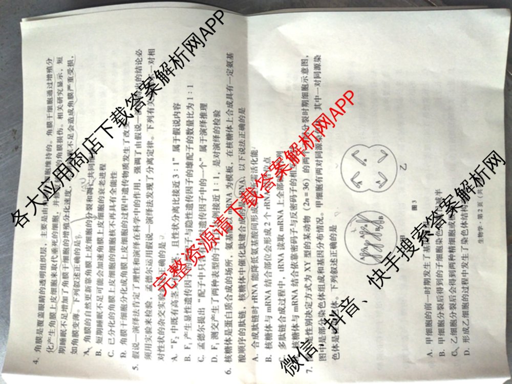 凯里一中2025届高三高考模拟考试(黄金I卷)各科答案及试卷（含数学、英语、政治等）生物试题