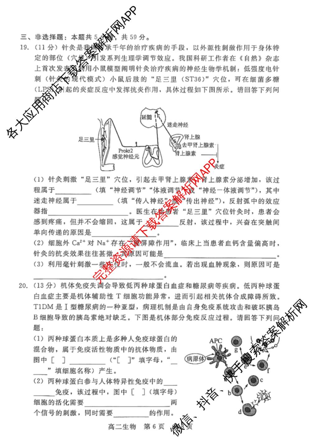 NT20名校联合体高二年级1月质检(2026.1): 含历史 语文 化学试卷解析生物试题