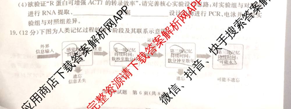 湖南省长郡中学2026届高三三模(无标题)各科答案及试卷（含政治、化学、历史等）生物试题