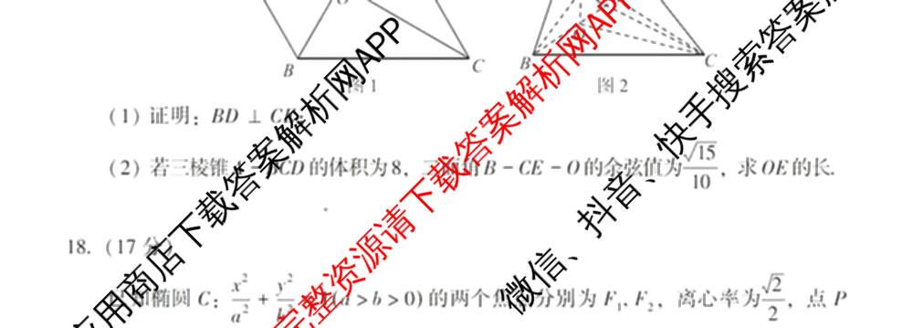 福建省漳州市2025届高中毕业班第一次教学质量检测(已更新地理 政治 物理等9份)数学试题