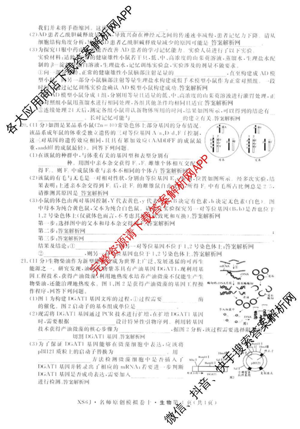 2026届高三总复习名师原创模拟(十)10（含物理(HN6)、英语(新S6)、历史(CQX6)等）生物试题
