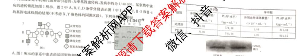 安徽省2026届高三年级阶段监测联合考试各科答案及试卷（含英语 语文 生物等）生物试题