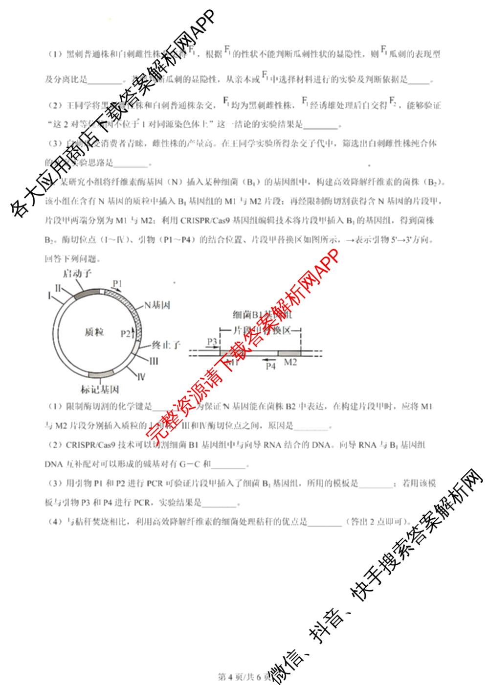 2024年高考真题(新高考)(已更新生物(山东卷) 数学(新课标II卷) 物理(河北卷)等108份)生物试题