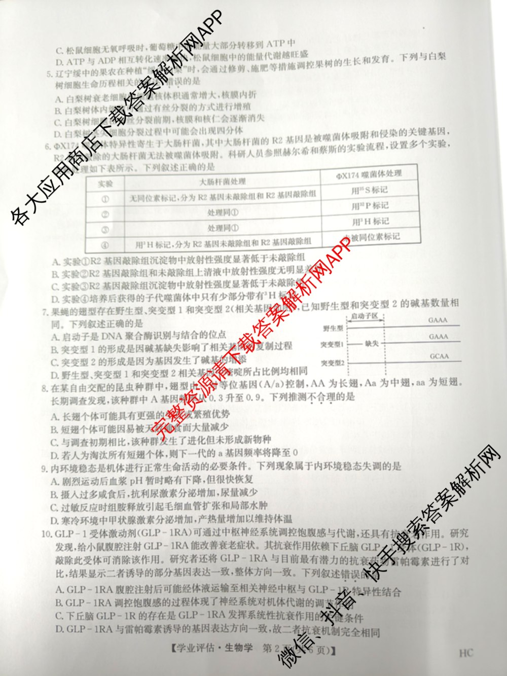 九师联盟2025-2026高三学业评估(4月)试卷及答案汇总（16科全）生物试题