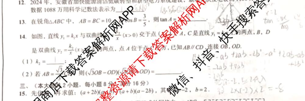 2025年安徽中考最后一卷: 含数学 物理 语文试卷解析数学试题