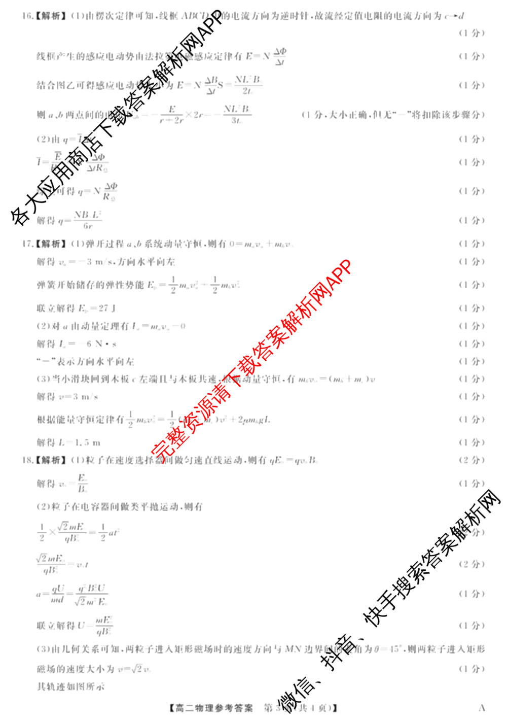 2024-2025学年福建百校高二期末考试(7月)各科答案及试卷（含化学(A)、数学(A)、物理(A)等）物理答案