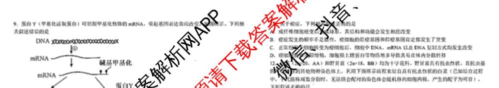 树德中学高2024级高一下期期末测试(2025-07)试卷及答案汇总（含语文 历史 数学等）生物试题
