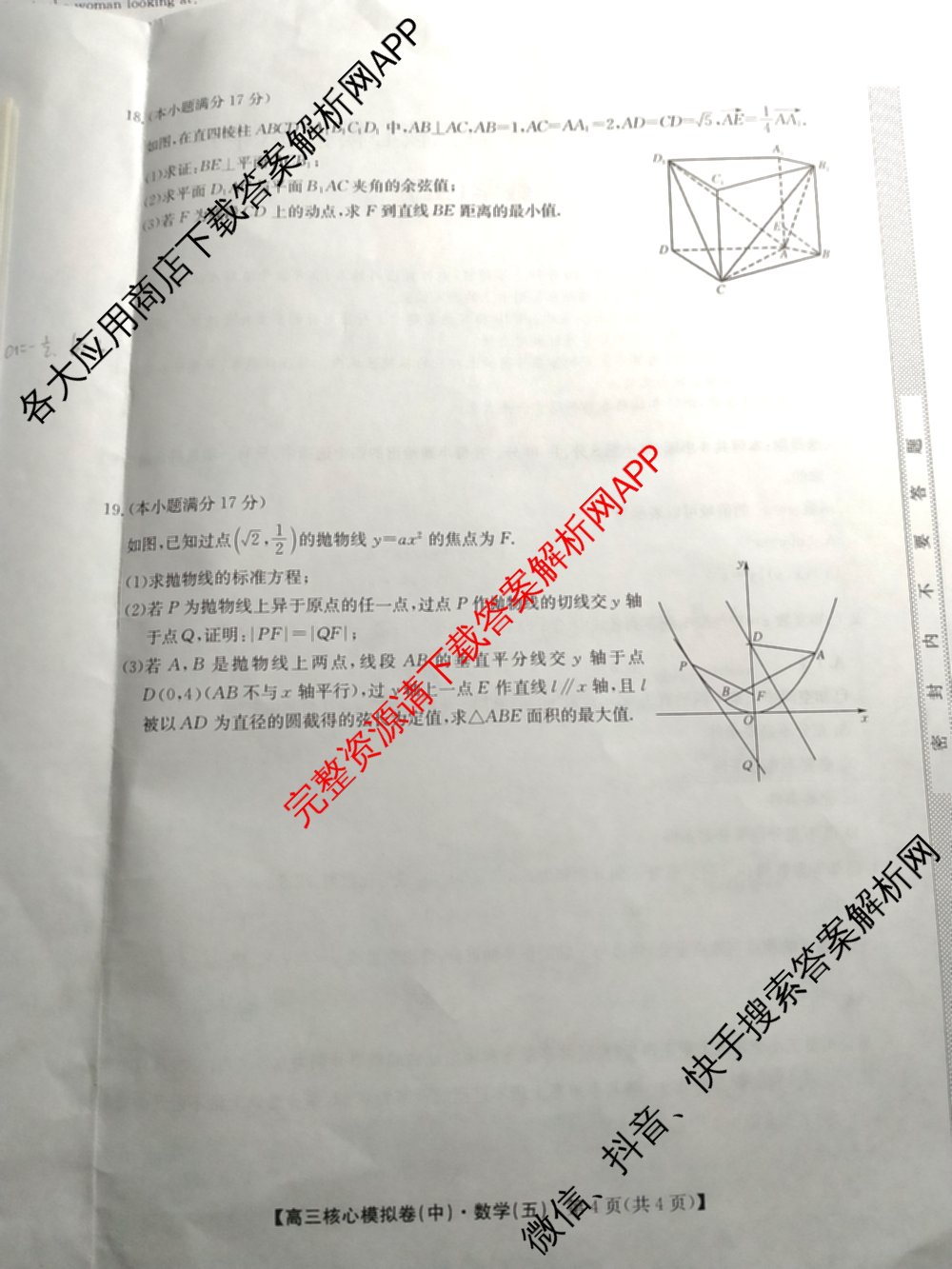 九师联盟2024~2025学年高三核心模拟卷(中)(五)5各科答案及试卷（含地理(HB) 物理(D1) 生物(D1)等）数学试题