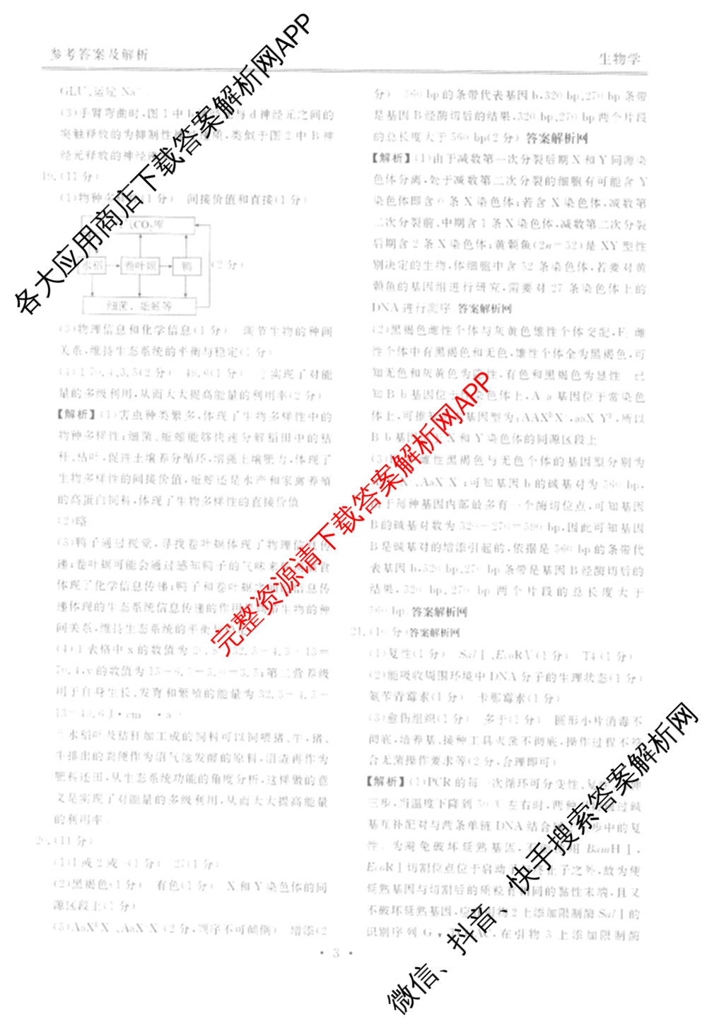 衡水金卷2025-2026学年度高三年级适应性测试(一)各科答案及试卷(已更新物理 生物 语文等9份)生物答案